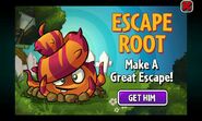 Ad for Escape Root