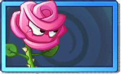 Roseswordman Rare Seed Packet.png