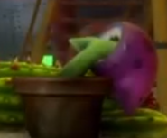 У накаўце ў Plants vs. Zombies: Garden Warfare