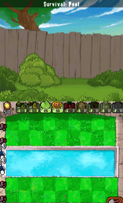 DS Pool.png