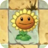 Sunflower2C