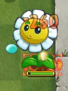 Giant Marigold.png (75 КБ) Гигантская версия