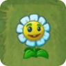 BlueMarigoldPvZ2.png (16 КБ) В другом неиспользуемом костюме