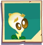 Пакет с семенами