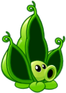 HD Pea Pod