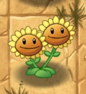 Twin Sunflower, Plants vs. Zombies Wiki