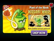 Wasabi Whip featured as Plant of the Week