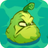 Squash3.png