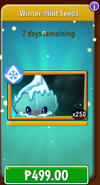 Winter-mint's seeds in the store (Promoted, 12.0.1)
