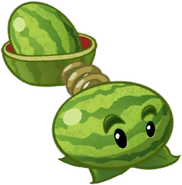 HD Melon-Pult