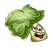 Headbutter Lettuce Plant Food
