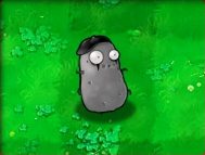 Plants Vs Zombies 2 Extra Seed Slot Plants Vs Zombies 2 Extra Seed Slot