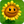 SunflowerA.png