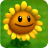 SunflowerA.png