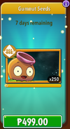 Gumnut's seeds in the store (11.4.1, Promoted)