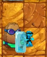 Shrunken Ice Bloom's ice block