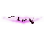 Bats