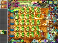 A Wasabi Whip Piñata Party on May 26