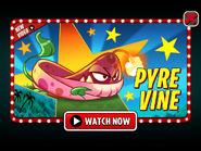 An advertisement of Pyre Vine