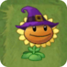 Sunflower (Halloween 2013 and Lawn of Doom; purple witch hat) ^