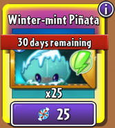 Winter-mint's piñata in the new store