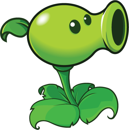 Pois (plante) — Wikipédia
