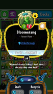 Bloomerang's statistics before update update 1.8.23