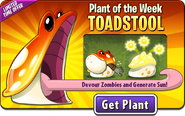 Toadstool featured as Plant of the Week (Get Plant)