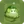 White Melon Sumo Wrestler2