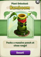 Bamboom seed packet, now showing in place of the previous image