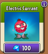 Electric Currant in the new store