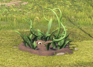 Spikeweed's appearance in-game