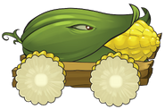 Cob Cannon, who fires explosive corn cobs