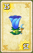 Endless Zone card (Magic Moon Wand, 11.8.1)
