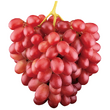 Red Grapes