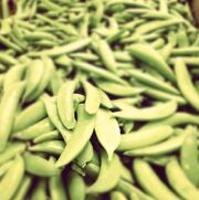 800px-Sugar Snap Pea.jpg