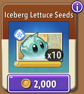 Iceberg Lettuce's seeds in the store (10.6.2)