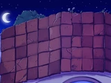 Night Roof