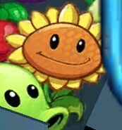 Sunflower in the Multiplayer menu