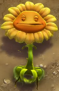 Uncustomised Vanquished Sunflower