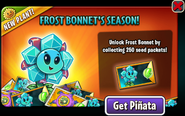 Frost Bonnet in an advertisement