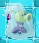 A frozen Goo Peashooter