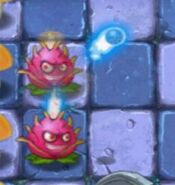 Dragonfruit launching a fireball (leveled up)