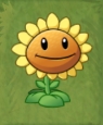 In-game Sunflower