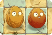 Explode-O-Nut next to Wall-nut