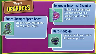 Chomper, Plants vs. Zombies Wiki