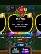 Briar Rose's statistics