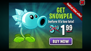 Ad showing a sale for Snow Pea (Note that how Snow Pea was misspelled Snowpea)