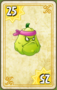 Endless Zone card (Pink Bandana, 11.8.1)