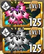 Seed packet with Imitater packet
